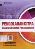 Pengolahan Citra Dasar dan Contohnya Penerapannya